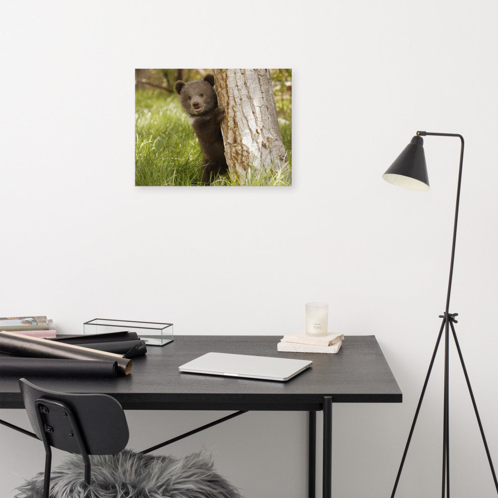 Baby Grizzly Bear Cub Behind Tree In Meadow Wildlife Photo Canvas Wall Art Print, 18" X 24"