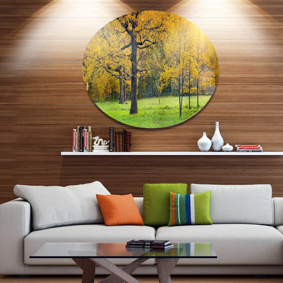 Sunny Park With Oak Panorama, Landscape Large Disc Metal Wall Art, 23"