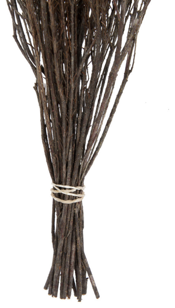 Natural Botanicals 19" x 4" Staavia, 100 grams per Unit , Natural, 19" x 4"