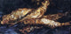 Vincent Van Gogh Still Life With Bloaters, 15"x30" Wall Decal
