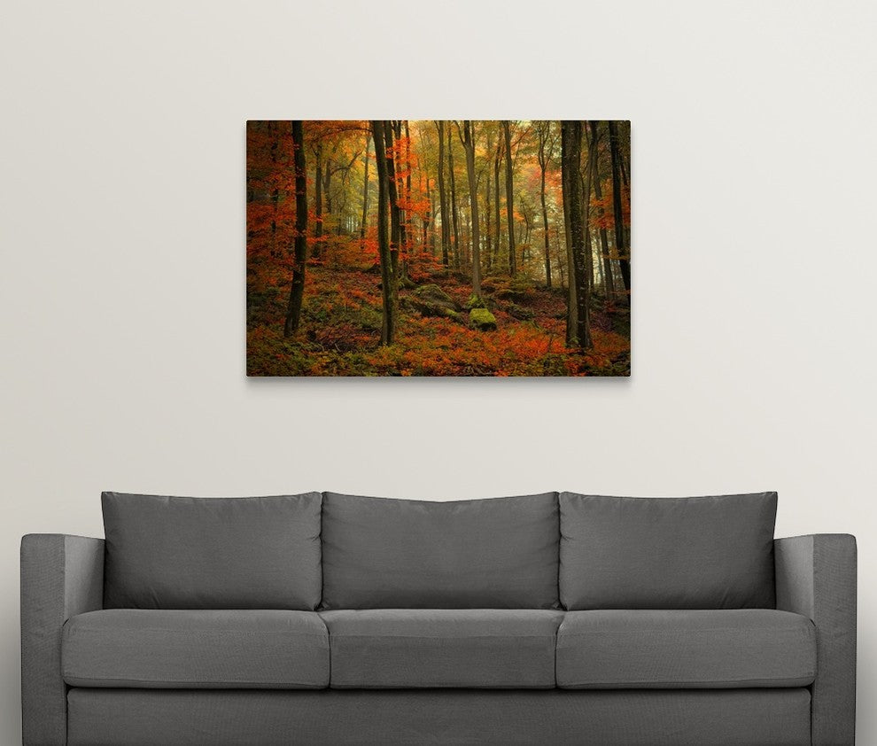 "Transformation Fall" Wrapped Canvas Art Print, 48"x32"x1.5"