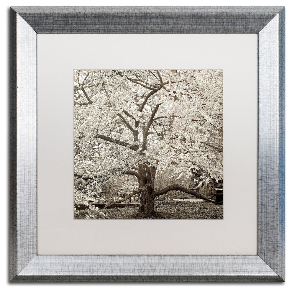 Alan Blaustein ''Hampton Magnolia II'' Art, Silver Frame, White Mat, 16x16