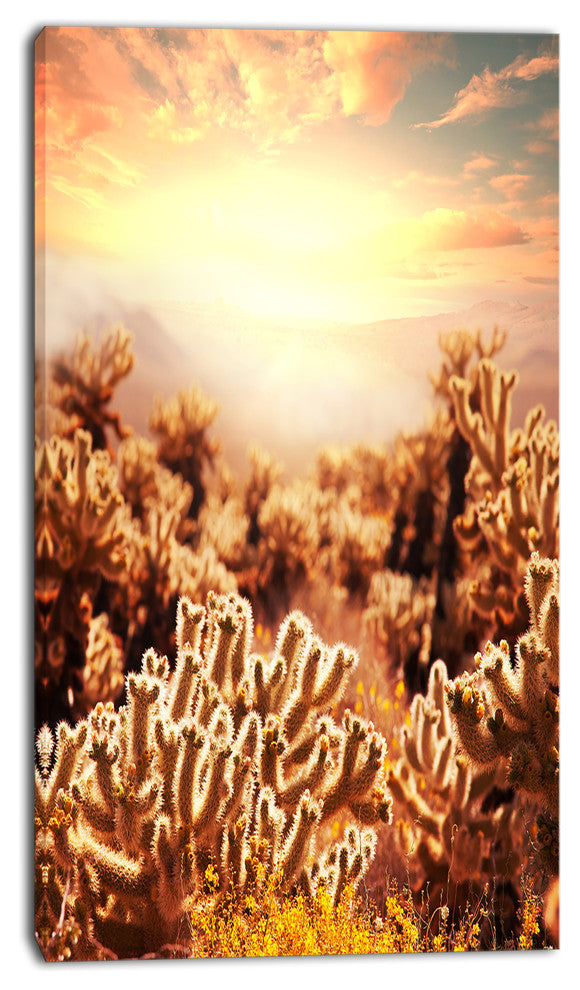 Cactus Plants in Saguaro National Park, Floral Canvas Art Print, 16"x32"
