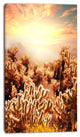Cactus Plants in Saguaro National Park, Floral Canvas Art Print, 16"x32"