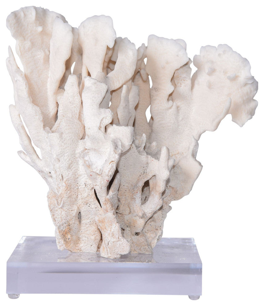 Cactus Coral 12-15" On Acrylic Base