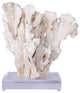 Cactus Coral 12-15" On Acrylic Base