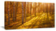 Beautiful Sunrays in Thick Forest, Modern Forest Canvas Art, 32"x16"