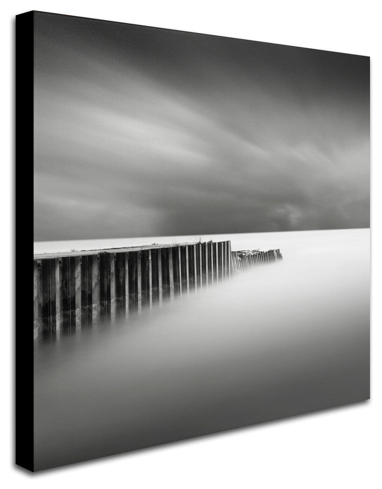 'Stormy' Canvas Art by Dave MacVicar