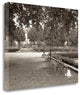 "Banc De Jardin - 41" By Alan Blaustein, Giclee Print on Gallery Wrap Canvas