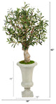 3.5' Olive Artificial Tree, Sand Colored Urn
