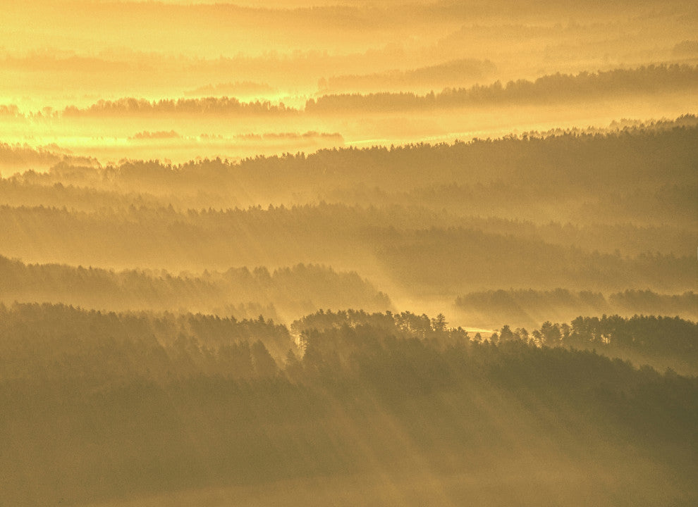 Golden Mist Valley - Hills & Mountain Range Landscape Canvas Prints, 16" X 20"
