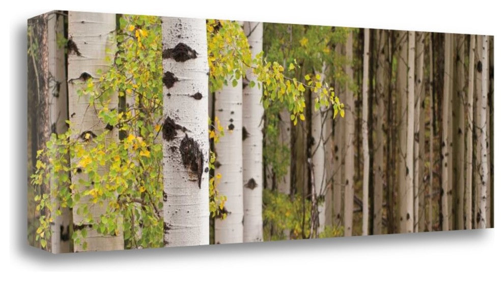 "White Forest Standing" By Heather Ross, Giclee Print on Gallery Wrap Canvas