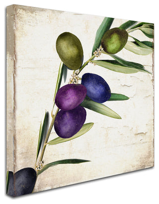 Color Bakery 'Olive Branch III' Canvas Art, 35x35
