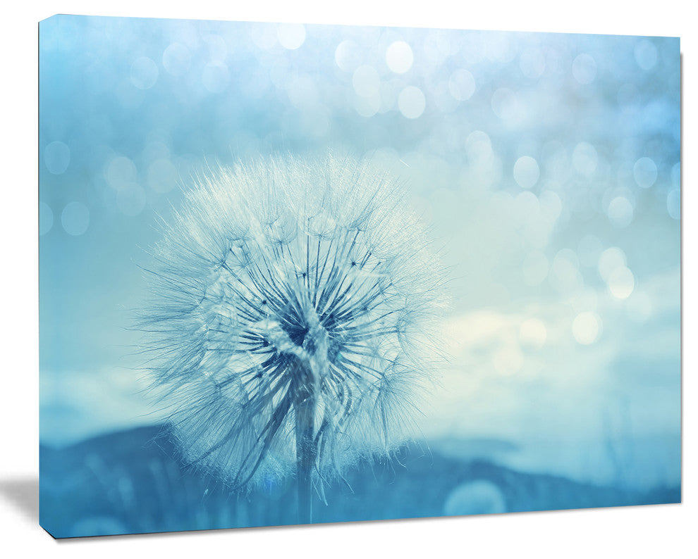 Close Up White Dandelion with Filter, Large Flower Canvas Wall Art, 40"x30"