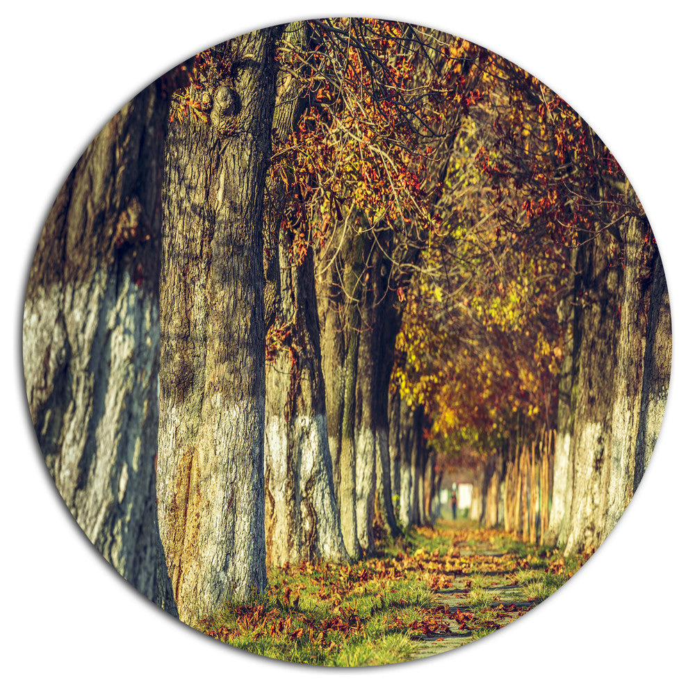 Colorful And Serene Autumn Forest, Modern Forest Round Wall Art, 23"