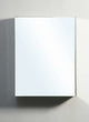 Confiant 20" Mirrored Medicine Cabinet Recessed or Surface Mount