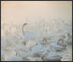 "Song Of The Morning Light" Framed Canvas Giclee by Dmitry Dubikovskiy, 37x31"