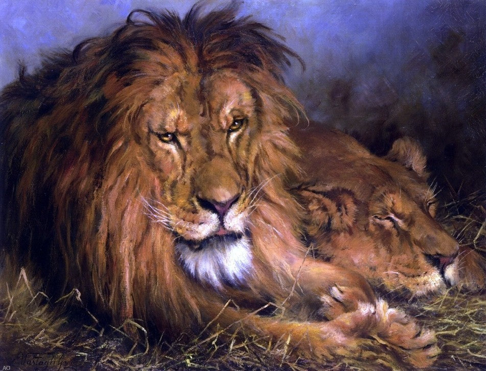 Geza Vastagh A Lion and Lioness, 21"x28" Wall Decal