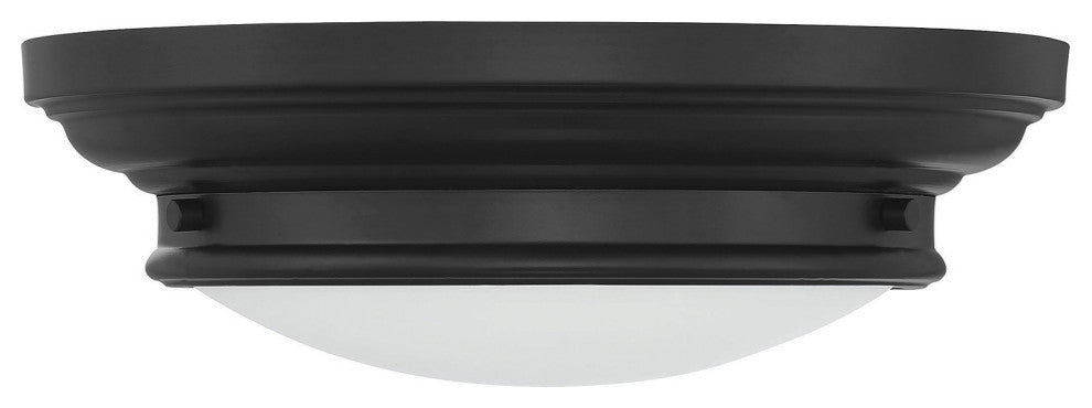 2-Light Ceiling Light, Matte Black