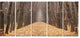 Yellow Road through Fall Forest, Modern Forest Canvas Art, 60"x28", 5 Panels
