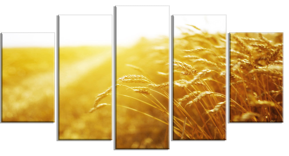 Bright Sunset over Wheat Field, Landscape Canvas Art Print, 60"x32", 5 Panels