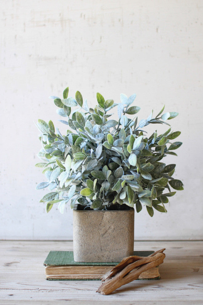 Artificial Sage Bush In a Square Pot