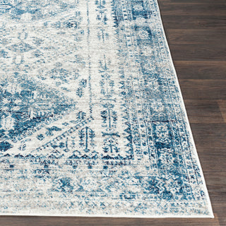 Monte Carlo Updated Traditional Sky Blue, Light Gray Area Rug, 7'10"x10'3"