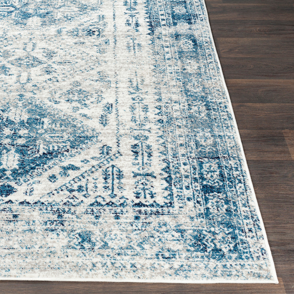 Monte Carlo Updated Traditional Sky Blue, Light Gray Area Rug, 7'10"x10'3"