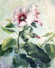 John La Farge Study of Pink Hollyhock in Sunlight- From Nature Wall Decal
