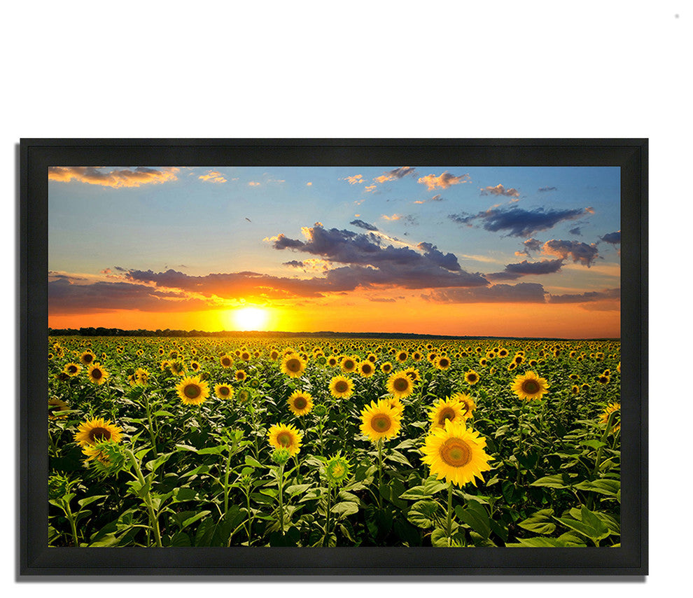"Sunflower Sunset", Framed Photograph Print, Ready To Hang
