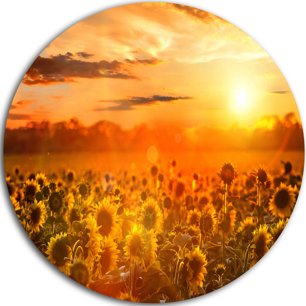 Yellow Sunset Over Sunflowers, Floral Photography Round Wall Art, 11"