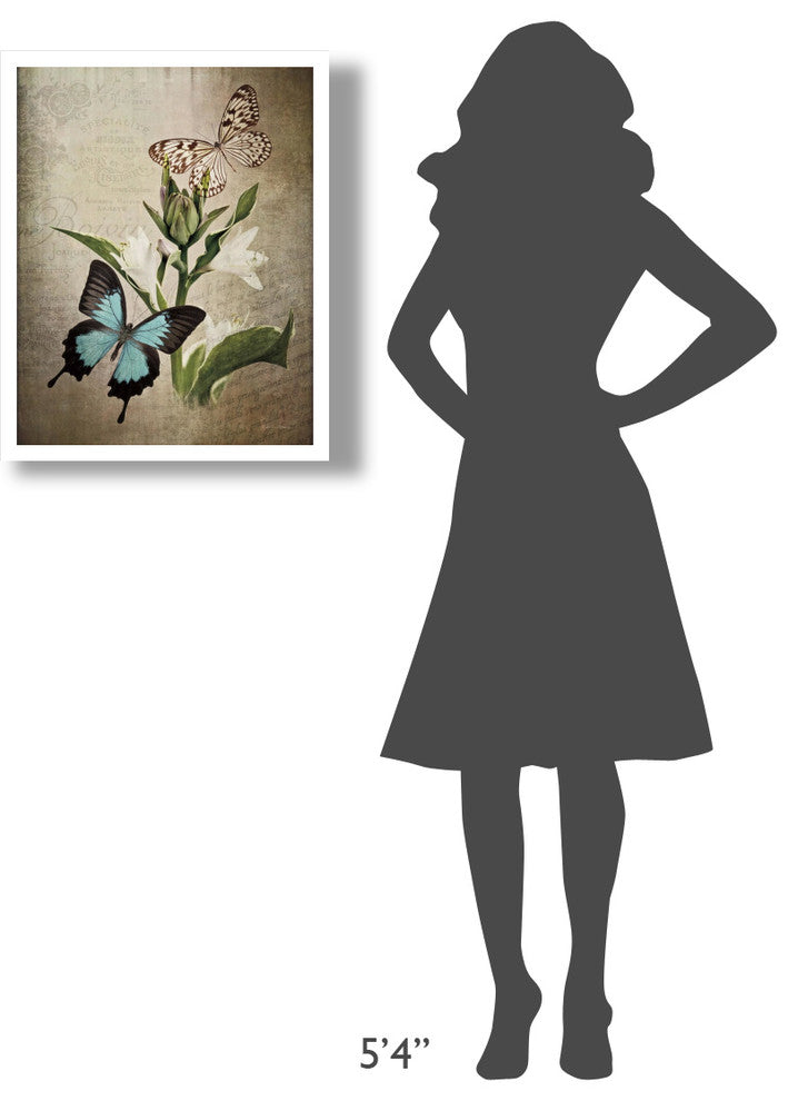 "Butterfly Botanical II" Digital Paper Print by Debra Van Swearingen, 22"x26"