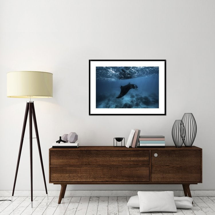 "Manta Ray" Framed Digital Print by Barathieu Gabriel, 44x32"