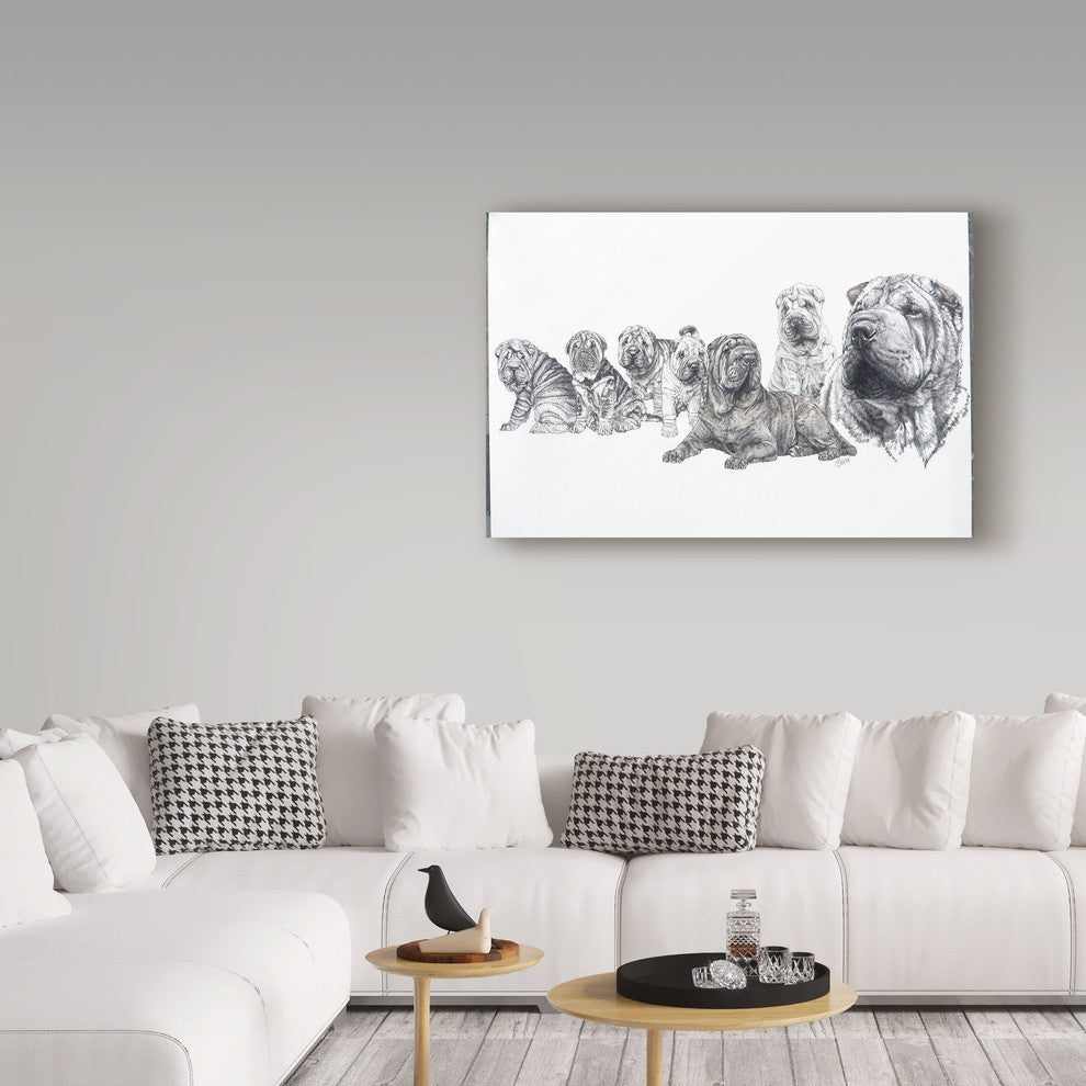 "Growing Up Shar Pei" by Barbara Keith, Canvas Art