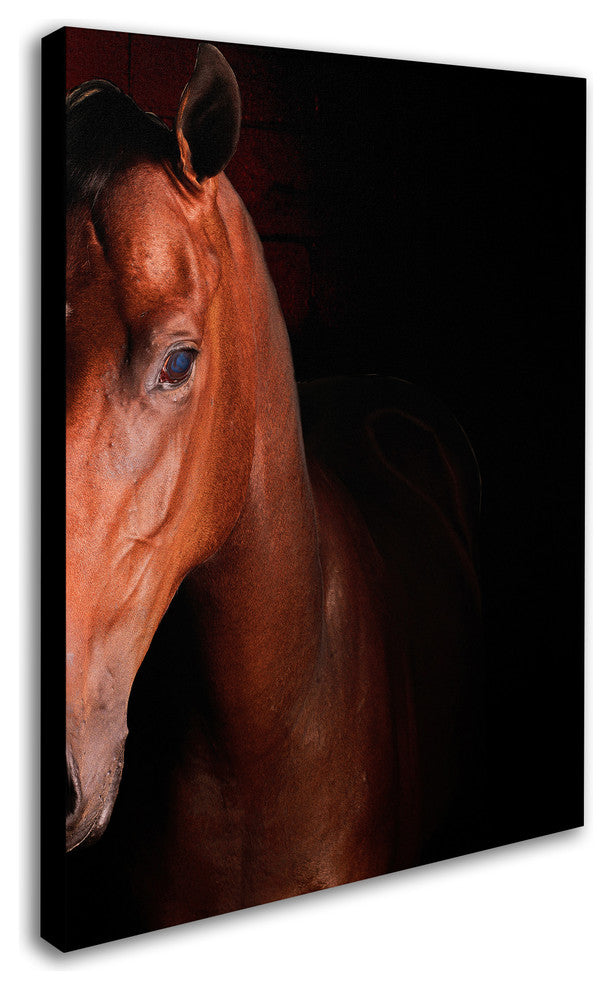 'Kentucky Horse Intense' Canvas Art by Preston