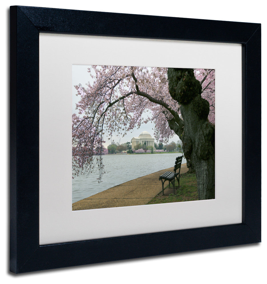 CATeyes 'Arched Blossoms' Matted Framed Art, 11x14