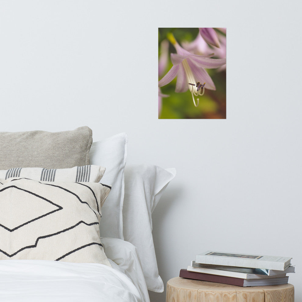 Close-up Hosta Bloom Nature Photography, Floral Unframed Wall Art Print, 12" X 16"