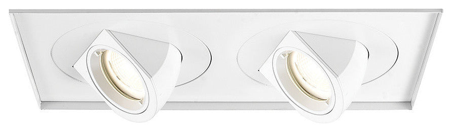 LED Multiple Trim, Flood