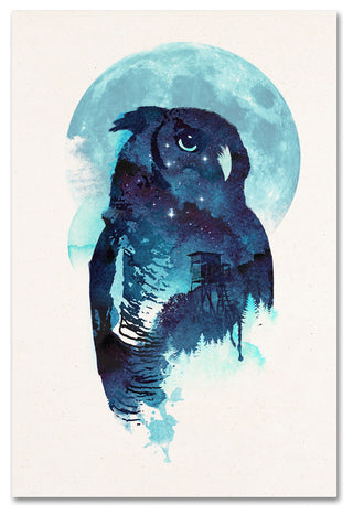 Robert Farkas 'Midnight Owl' Canvas Art, 24x16