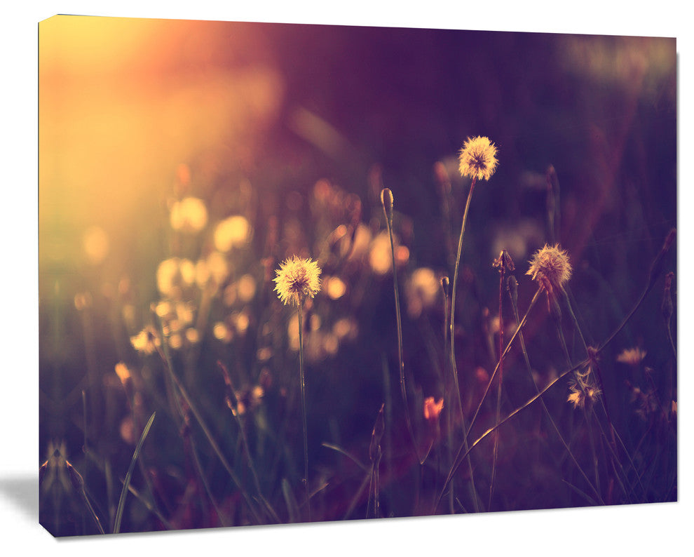 Vintage Dandelion Meadow Photo, Large Floral Canvas Art Print, 60"x28"