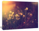 Vintage Dandelion Meadow Photo, Large Floral Canvas Art Print, 60"x28"