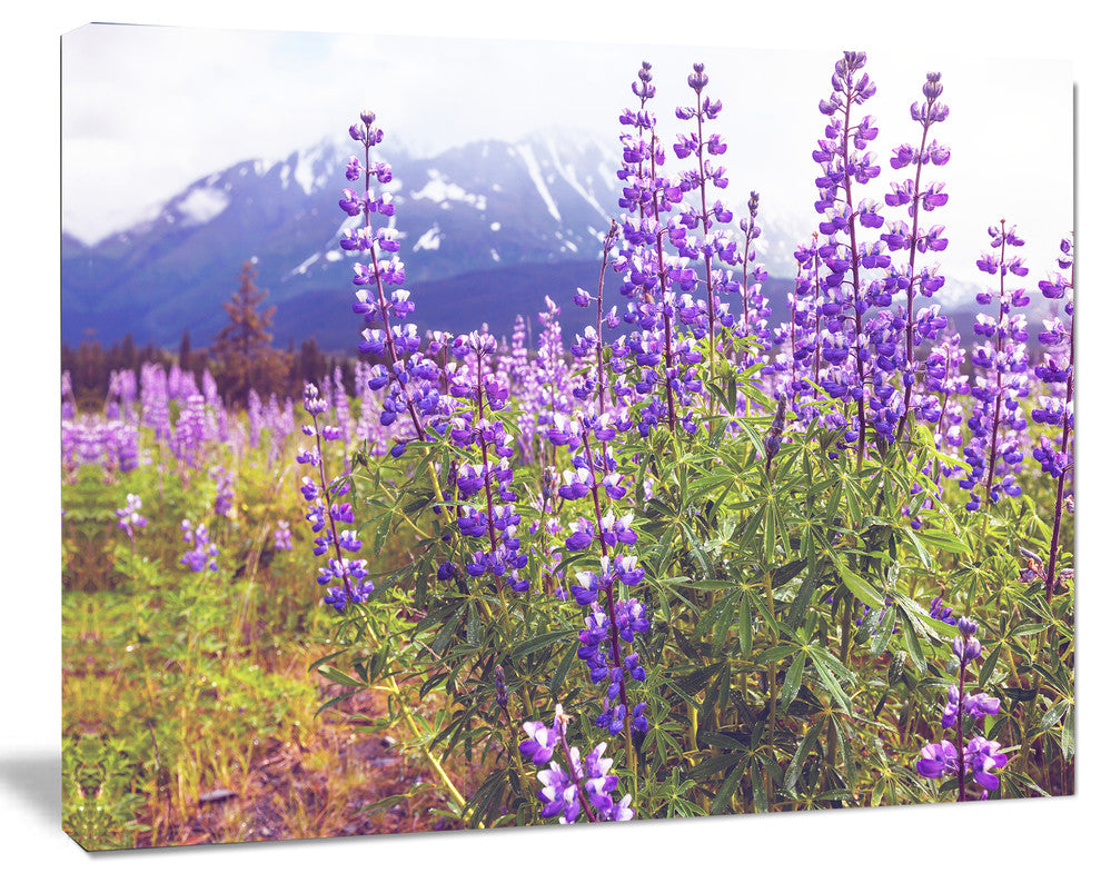 Meadow in Alaska with Purple Flowers, Floral Canvas Art Print, 20"x12"
