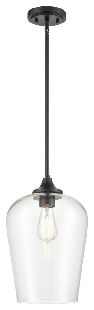 Ashford Collection 1-Light 10" Matte Black Mini-Pendant