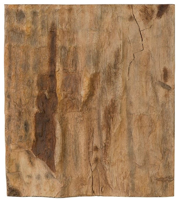 Cast Petrified Wood Wall Decor