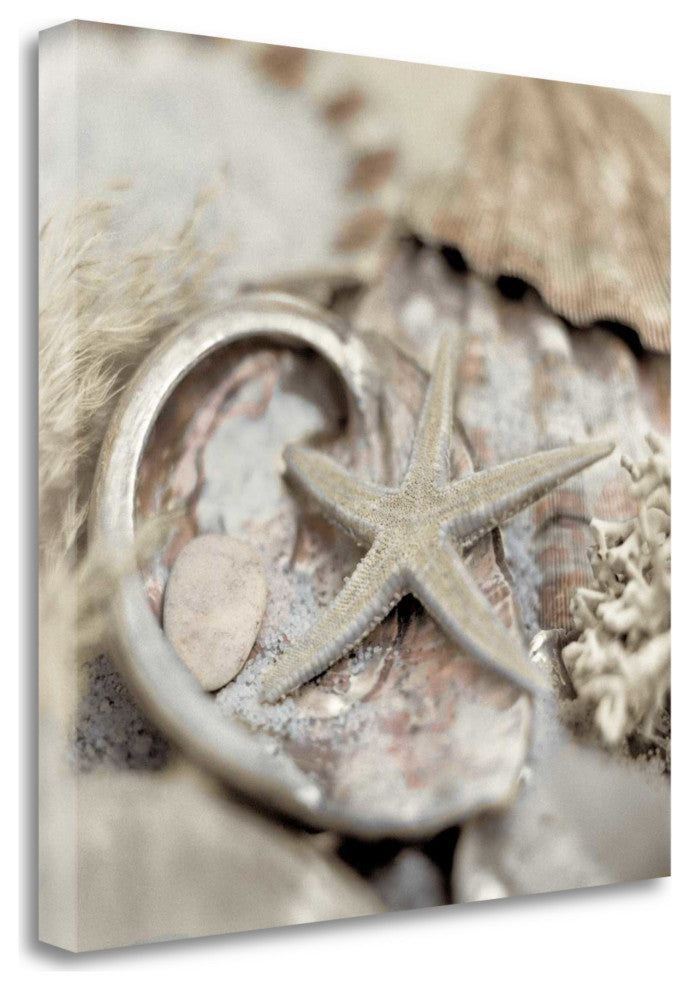 15" Sandy Starfish and Seashells 2 Giclee Wrap Canvas Wall Art