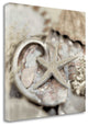 15" Sandy Starfish and Seashells 2 Giclee Wrap Canvas Wall Art