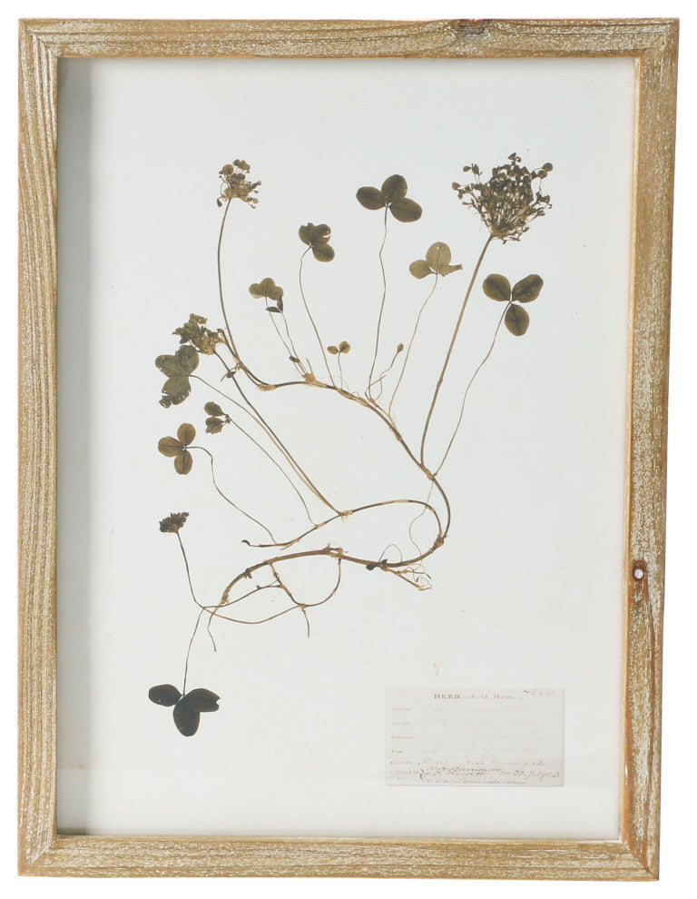 Wood Framed Wall Decor with Botanicals, 6 Styles