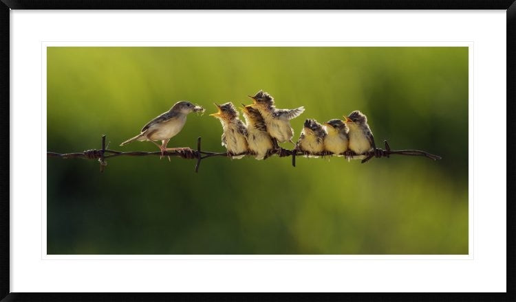 "16" Framed Digital Print by Iwan Tirtha, 44x26"