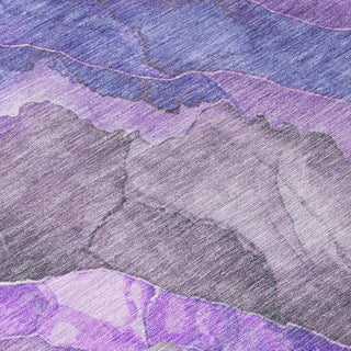 Machine Washable Indoor/Outdoor Chantille ACN1864 Violet 1'8" x 2'6" Rug