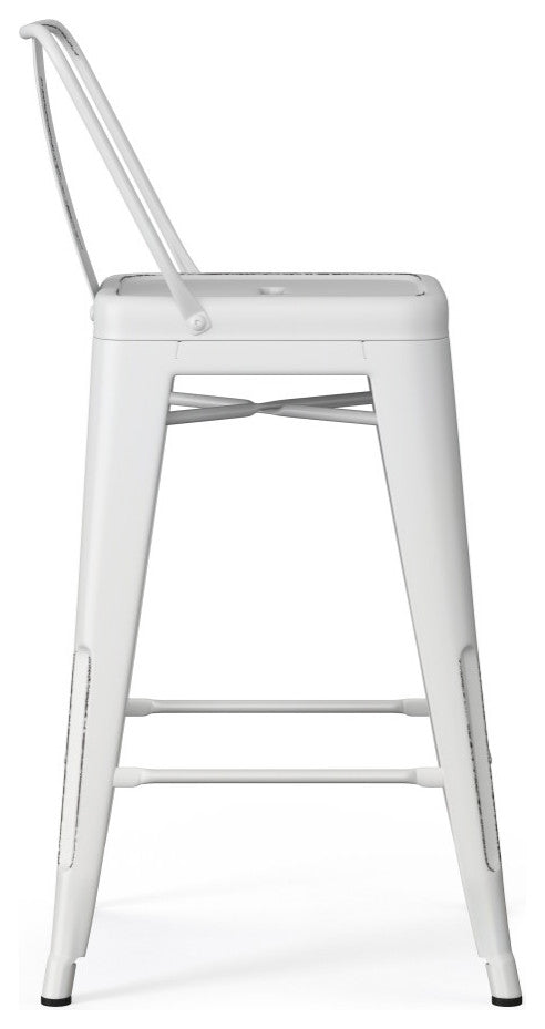 Rayne 24 inch Metal Counter Height Stool (Set of 2)
